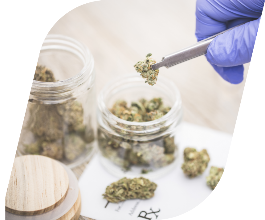 Medical Marijuana and Hemp