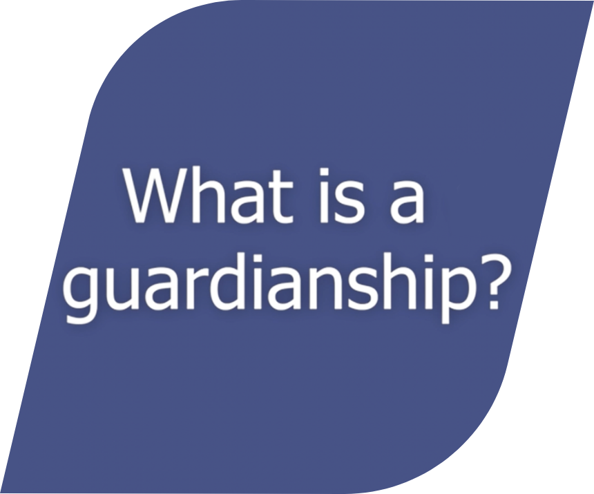 The Guardianship Appointment Process
